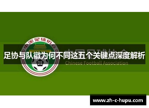 足协与队徽为何不同这五个关键点深度解析