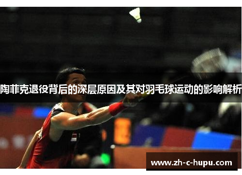 陶菲克退役背后的深层原因及其对羽毛球运动的影响解析