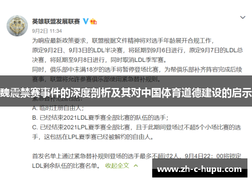 魏震禁赛事件的深度剖析及其对中国体育道德建设的启示